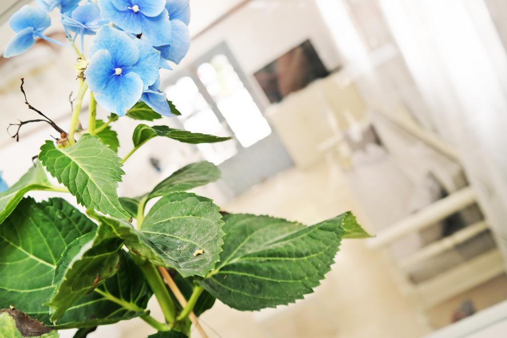 Golden Beach Studios Down Town Naxos City Экстерьер фото